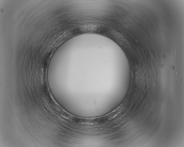 X0000053050498200508081132