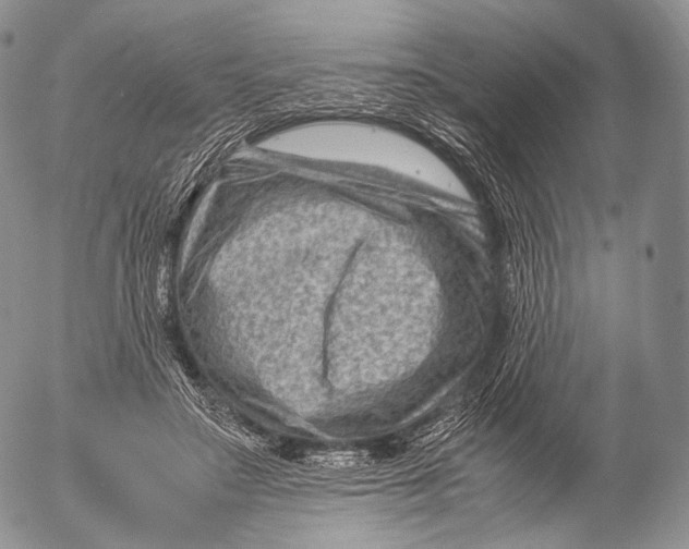 X0000053050499200508081132