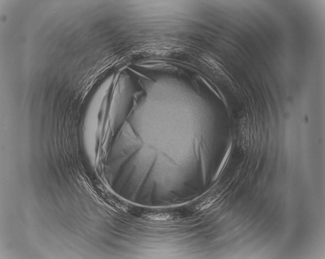 X0000053050500200508081132