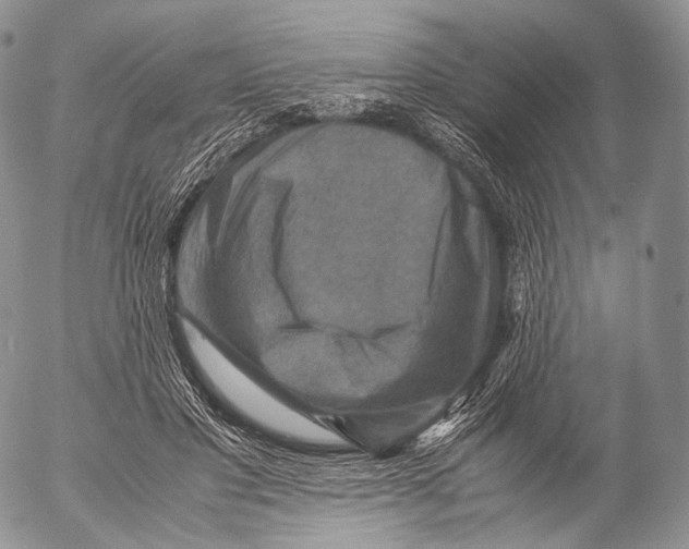 X0000053050501200508081132