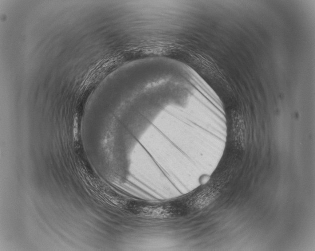 X0000053050502200508081132