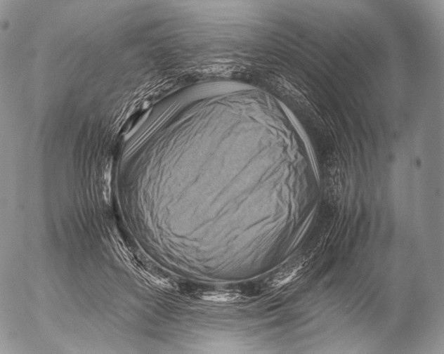 X0000053050504200508081132