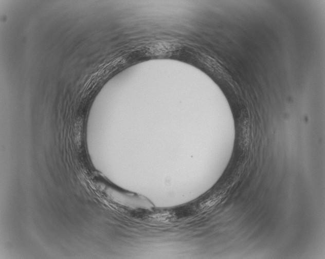 X0000053050505200508081132