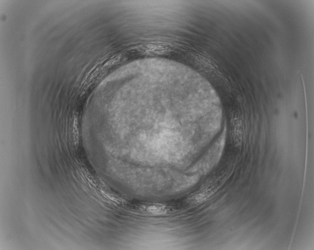 X0000053050506200508081132