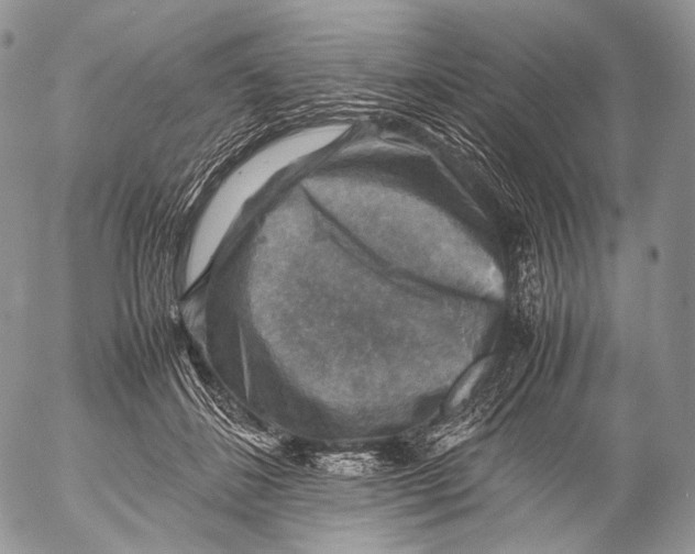 X0000053050508200508081132