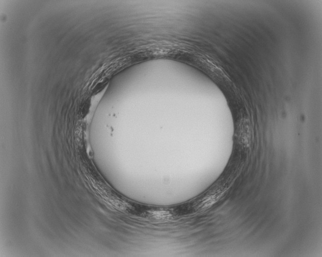 X0000053050509200508081132