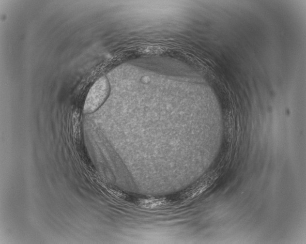 X0000053050511200508081132