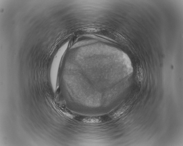 X0000053050512200508081132