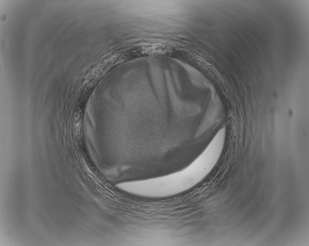 X0000053050513200508081132