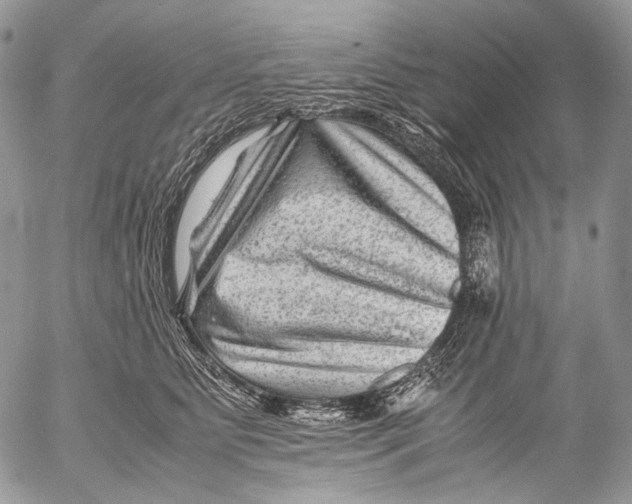 X0000053050515200508081132