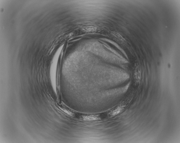 X0000053050516200508081132