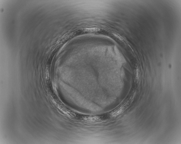 X0000053050517200508081132