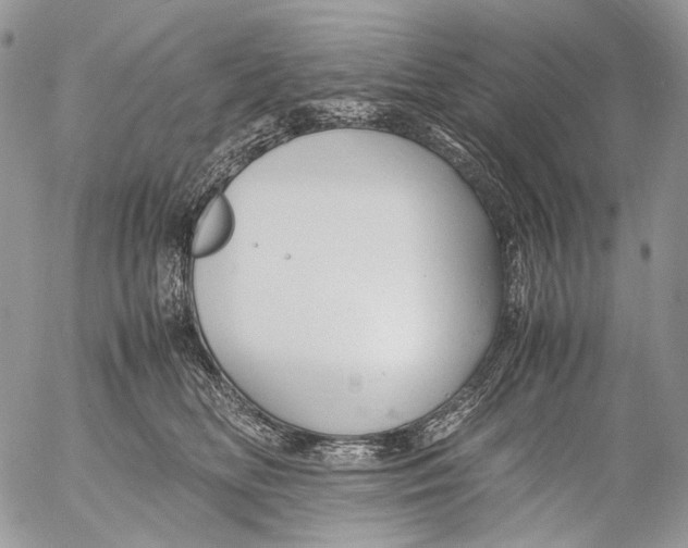 X0000053050518200508081132