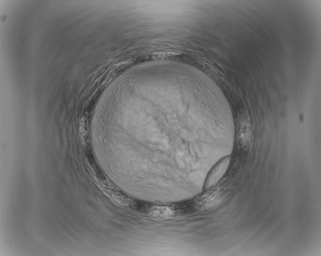 X0000053050519200508081132