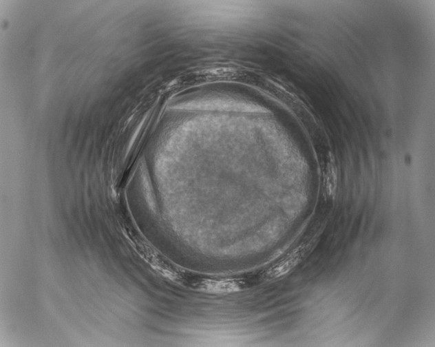 X0000053050520200508081132