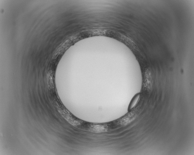 X0000053050522200508081132