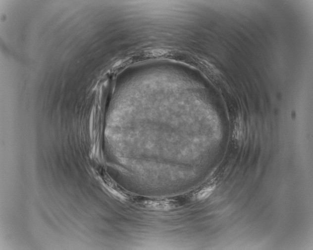 X0000053050524200508081132