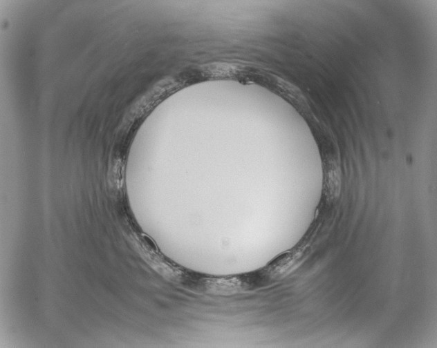 X0000053050525200508081132