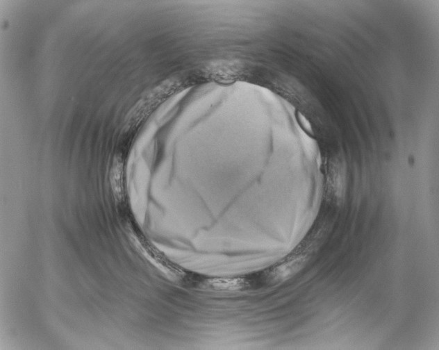 X0000053050526200508081132