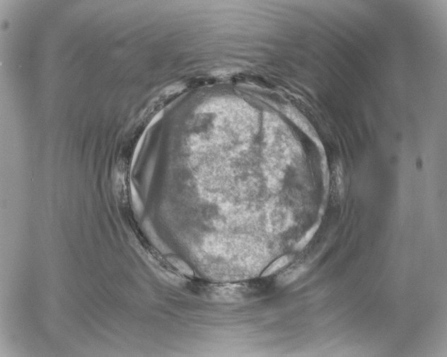 X0000053050527200508081132