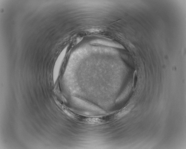 X0000053050528200508081132