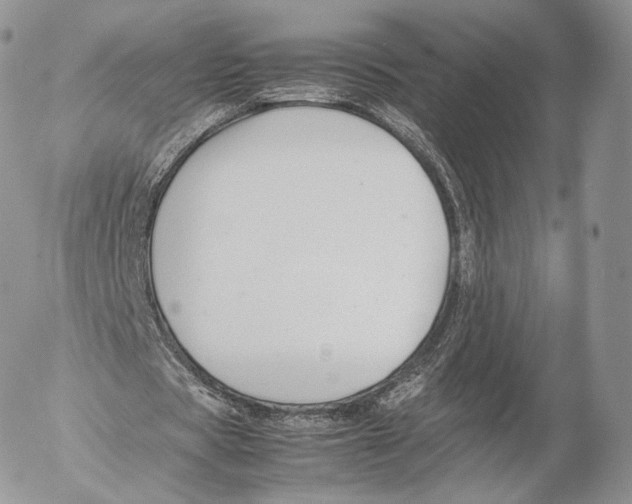 X0000053050529200508081131