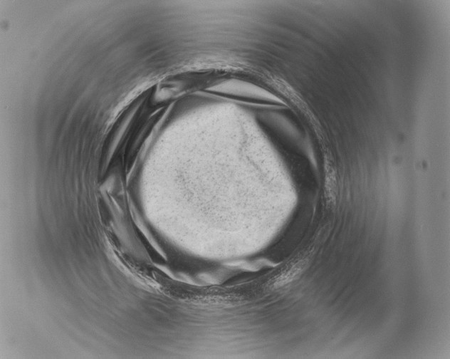 X0000053050530200508081131