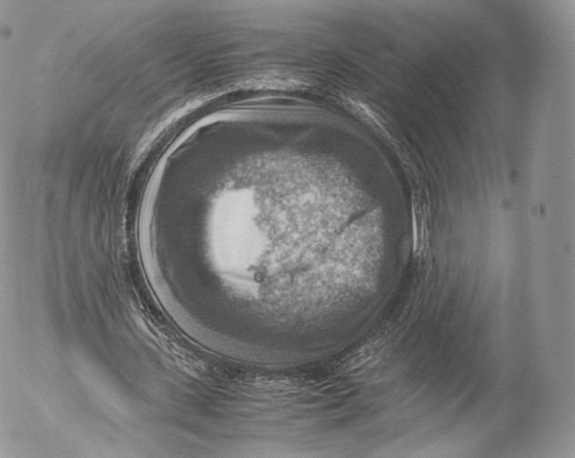 X0000053050531200508081131