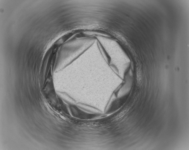 X0000053050532200508081131