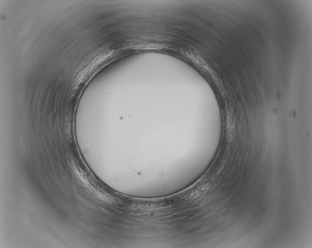 X0000053050533200508081131