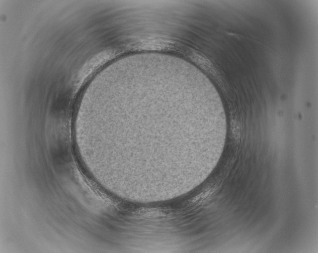 X0000053050534200508081131