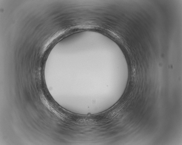 X0000053050535200508081131