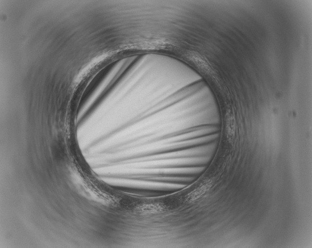 X0000053050536200508081131