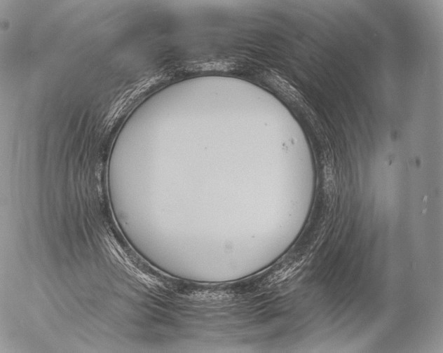 X0000053050537200508081131