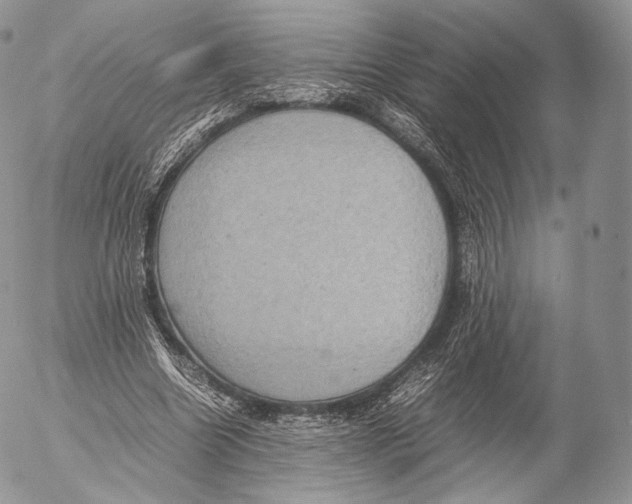 X0000053050538200508081131