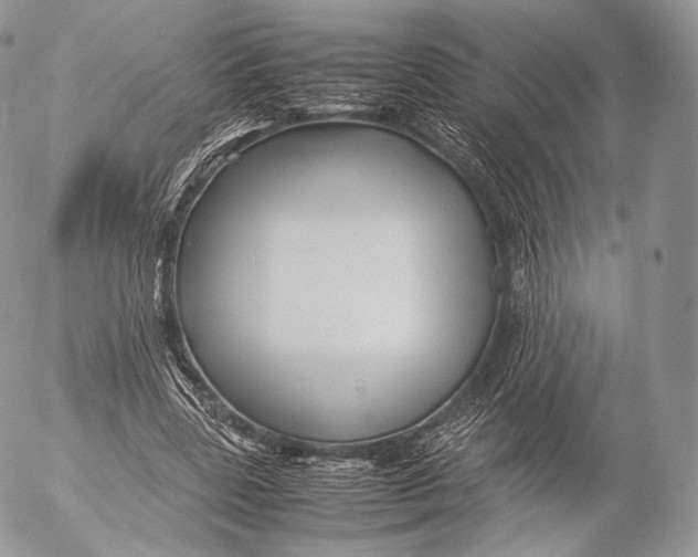 X0000053050539200508081131