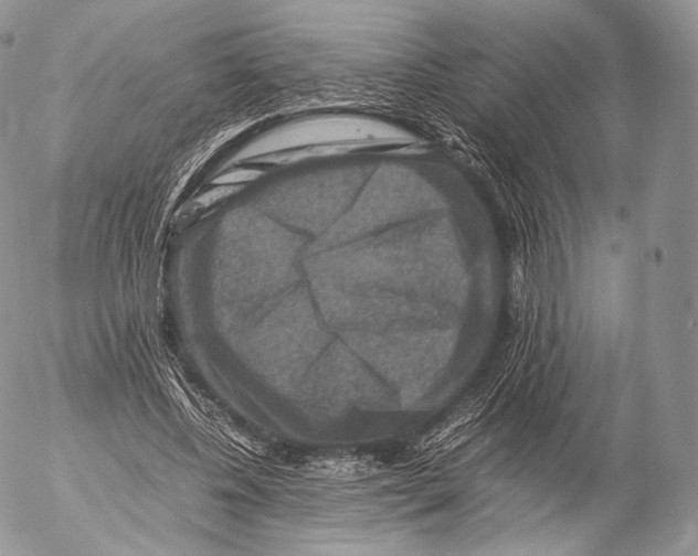 X0000053050540200508081131