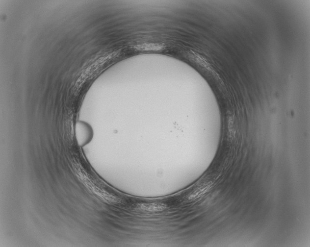 X0000053050541200508081131