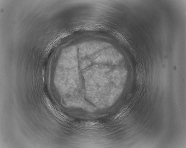 X0000053050542200508081131