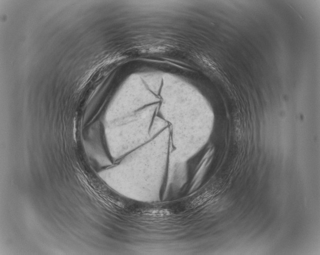 X0000053050543200508081131