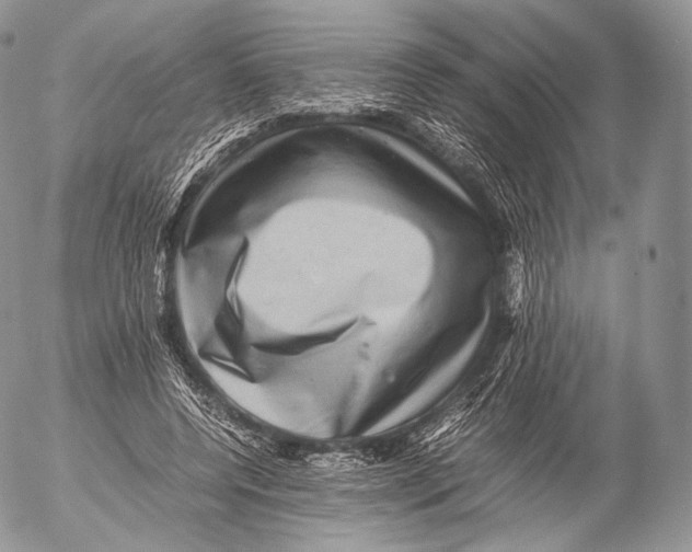 X0000053050544200508081131