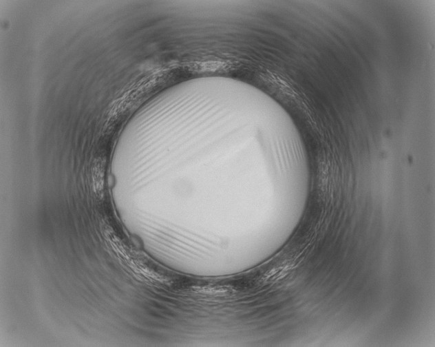 X0000053050545200508081131