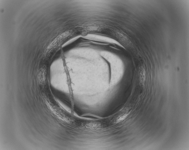 X0000053050546200508081131