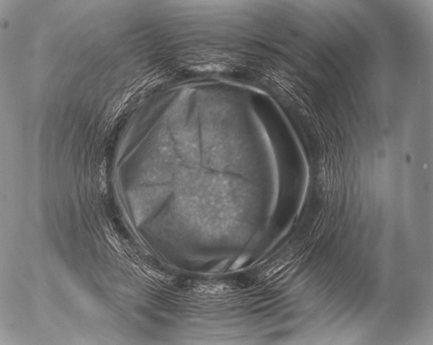 X0000053050547200508081131