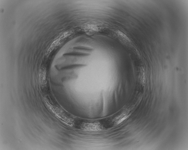 X0000053050548200508081131