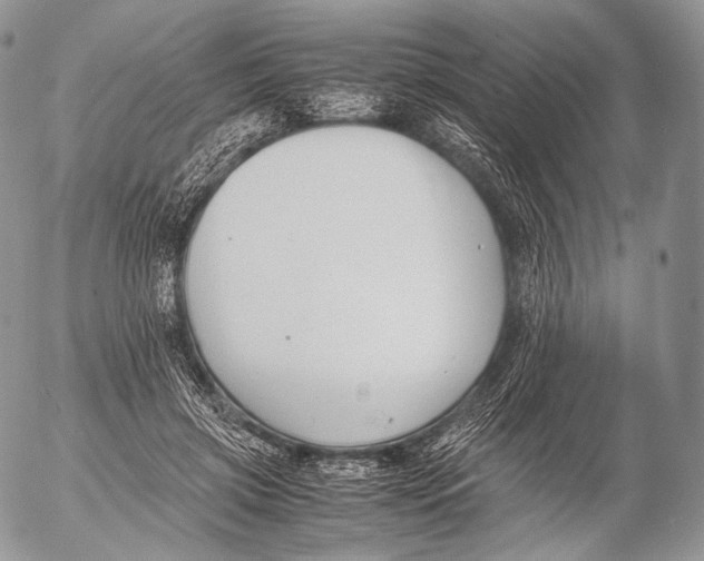 X0000053050549200508081131