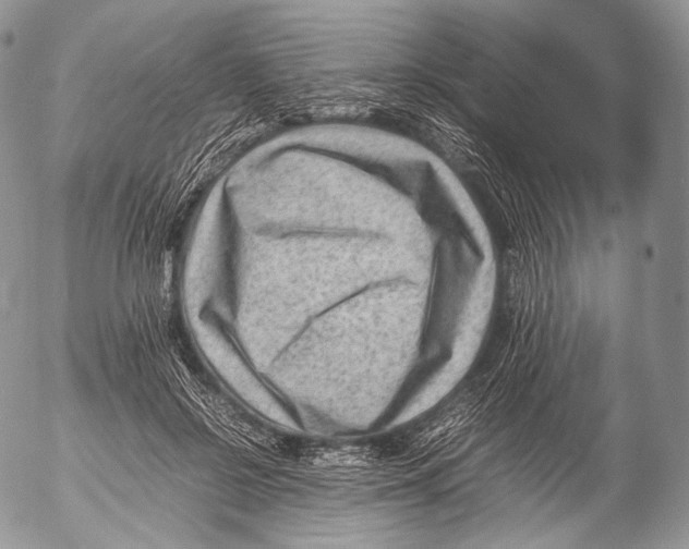 X0000053050550200508081131