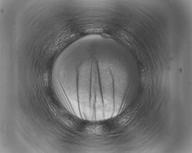 X0000053050551200508081131