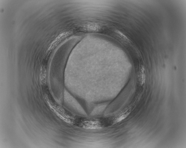 X0000053050552200508081131