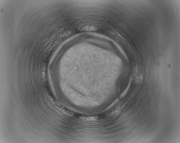 X0000053050553200508081131